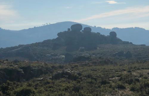 Casa da Fonte, Monte - Foto 35