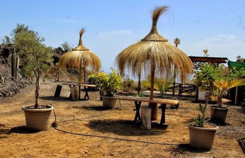 FINCA BEROLO 1 - Foto 42