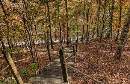 Fightingtown Creek Retreat - Foto 50