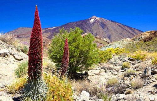 CHALET PRIVADO, PISCINA, WIFI AL MEJOR PRECIO - Foto 8