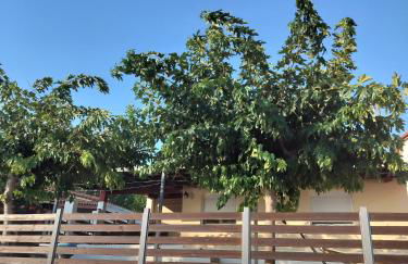 Beach front house at Agios Ilias Pyrgos Near Ancient Olympia - Photo 13