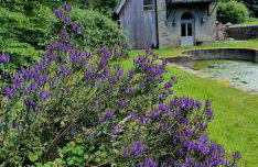 Folly - Middleton Hall Estate - Foto 28