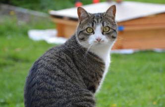 Residence Feldhof - Foto 20