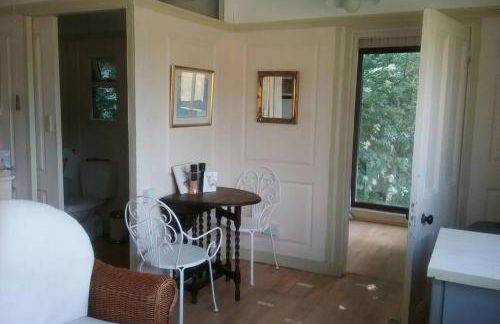 Stags View,Unique eco cabin, Dartmoor views - Foto 35