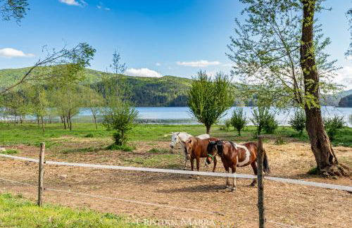 Casa R&G Lorica - Foto 15