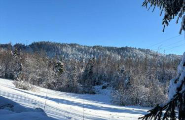 Nonićeva Hiža - Foto 38