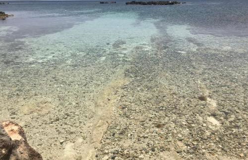 Home Music & Love - Foto 23