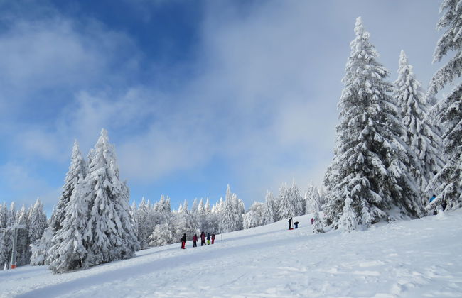 Haus Ganter - Foto 31