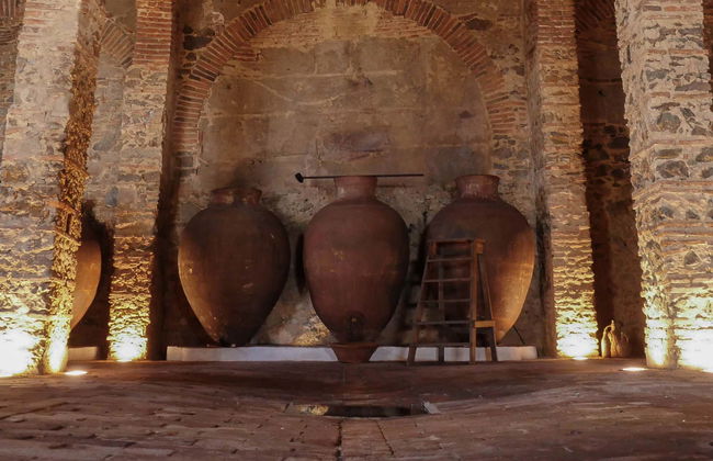 Grande Prova Honrado Winery Tour + Tasting - Foto 4