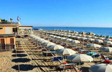 Ficus Plus - Pineto Vacanza - Foto 9