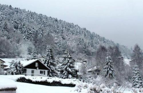 Gîte familial aux Vosges avec jeux pour enfants, à proximité de la nature et activités sportives - FR-1-589-111 - Foto 15