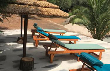 Casal das Nogueiras, casas rurais de charme agradáveis e acolhedoras - Foto 38