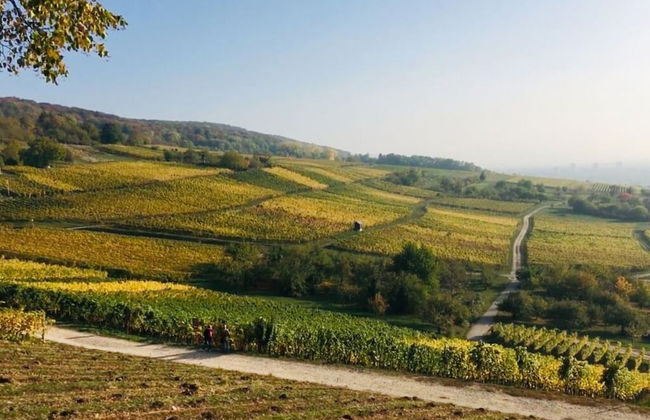 Holiday Apartment in the Blue Barn - Photo 15