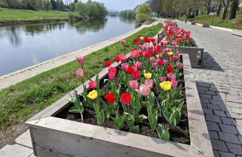 FeWo kleine Auszeit Höxter - Foto 24