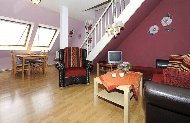 Reiterhof Maack - Foto 66