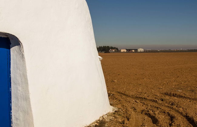 Visite guidée dans Tomelloso - Photo 6