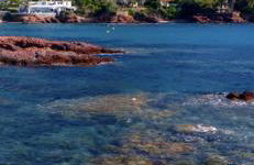 Vue mer et sur la baie de Cannes piscine 450m2 randonnée VTT au pied de l Esterel - Foto 31