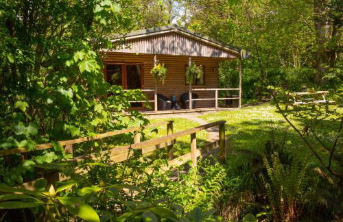 Fiddlers Green Log Cabin Tenby - Foto 14