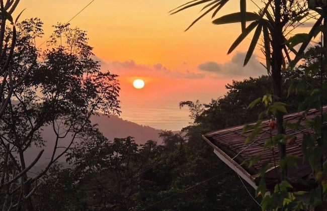 Colinas Tinamastes - Foto 75