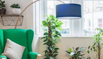 The Plywood Flat, Modern Style In A Traditional Tenement - Foto 3