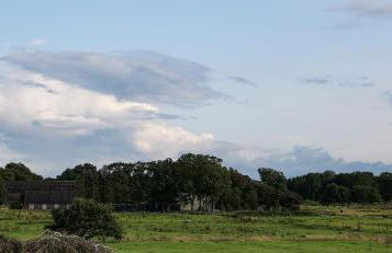 Heimathafen Sillenstede - Foto 29