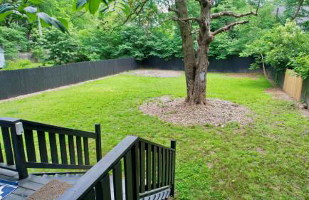 HPThe CottageSpectrumBojanglesNODADogsYard - Foto 16