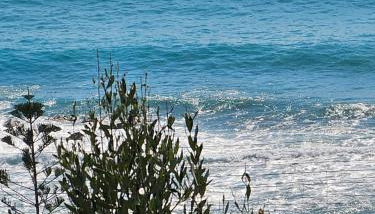 Naturoasi Resort - Foto 2