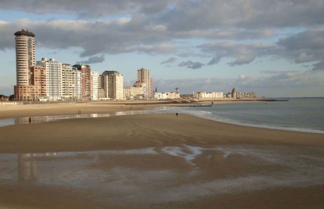 Schelphoekje Modern Retreat - Photo 18