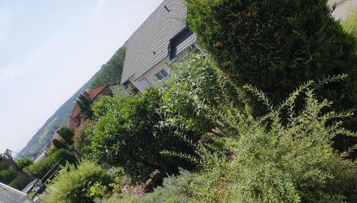 Zwischen Frankfurt und Würzburg im schönen Odenwald - Foto 3