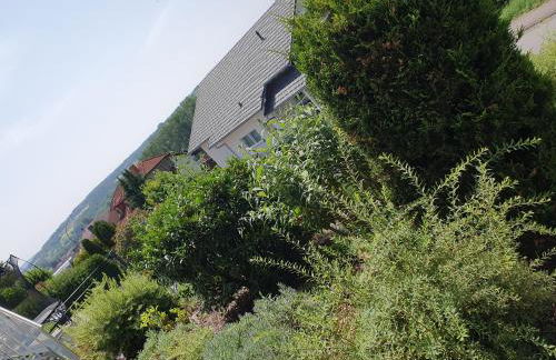 Zwischen Frankfurt und Würzburg im schönen Odenwald - Foto 3