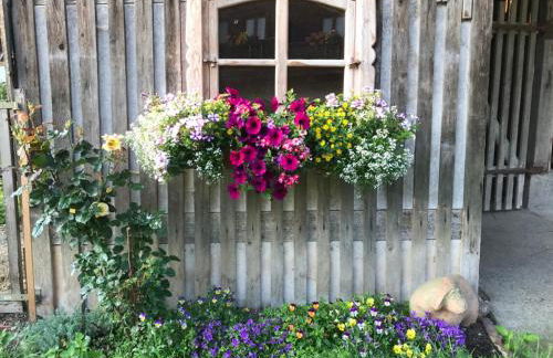 Zum Dammerbauer - Photo 6