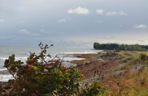 Nordlicht - Herzliche 1-Zimmer FeWo mit Meerblickbalkon - Foto 27