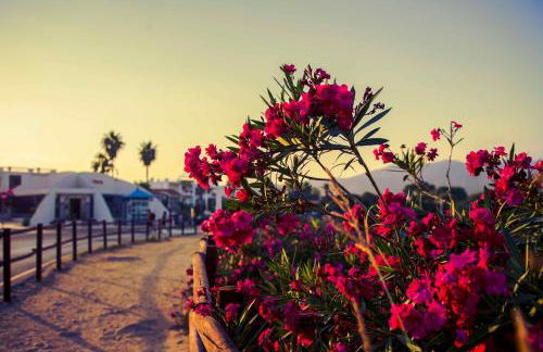 Kione Villamar Habitat - Foto 56