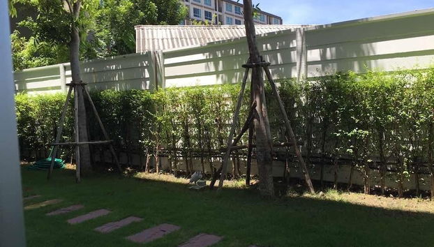 Baan Peang Ploen Hua Hin by Montri C - Foto 2, Miscelánea