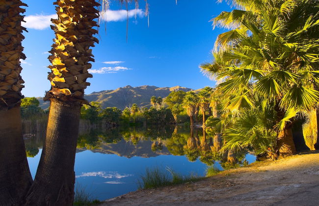 Raintree's Cimarron Golf Resort - Photo 40