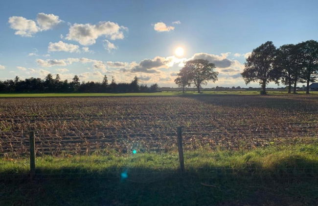 Wellness Forest Retreat - Photo 32