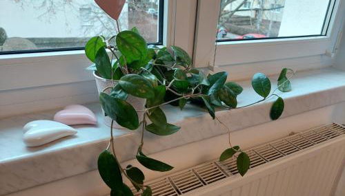 Helles modern eingerichtetes Apartment - Foto 2