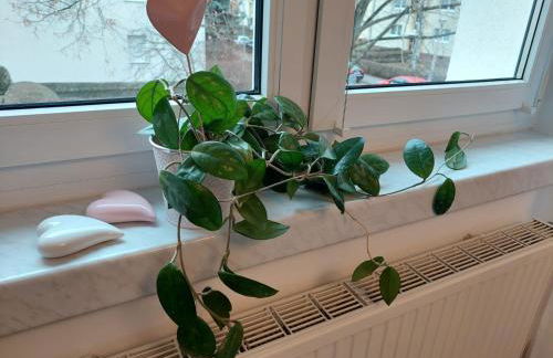 Helles modern eingerichtetes Apartment - Foto 2