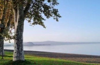 Gaia - Mare, Lago di Bolsena e Terme di Vulci - Foto 42