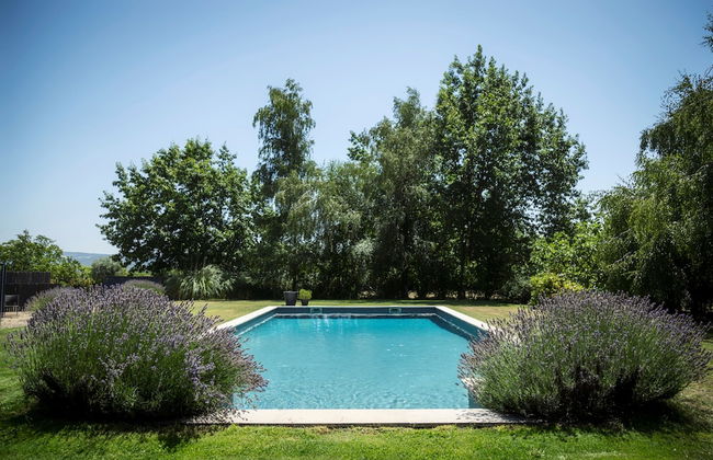 Casa de Santo António de Britiande - Foto 24