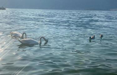 Peonia Apartment - appartamento vista lago - Foto 20