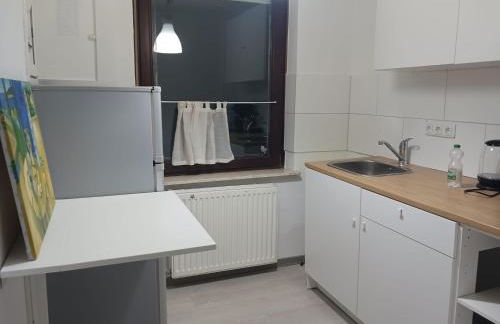 Adasflats Goose - Foto 22