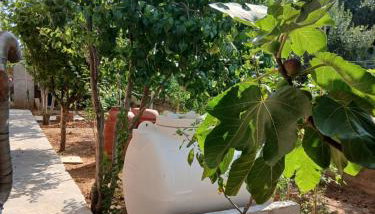 Artemis Villa - Foto 5