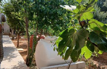 Artemis Villa - Foto 5