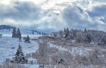 Habelberg Apartments - Foto 25