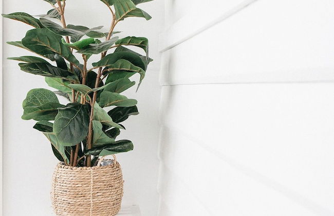 Verdi House by the BnB Collection - Photo 10