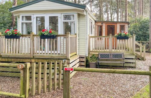 Robin's Retreat - Photo 1