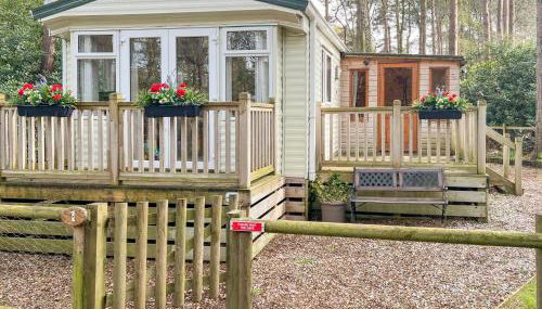 Robin's Retreat - Photo 1