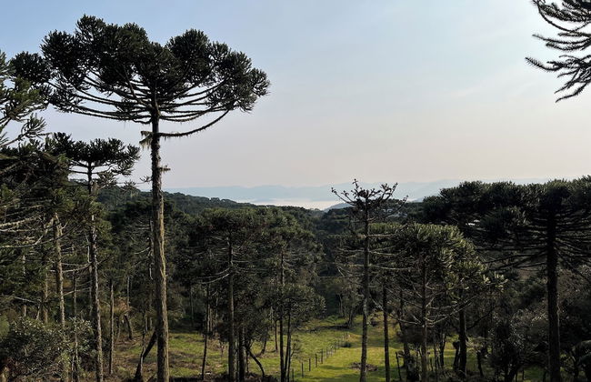 Bulawayo Lodge - Foto 24