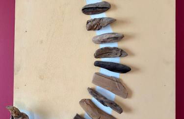 Residenza Palmira Bardolino - Foto 19